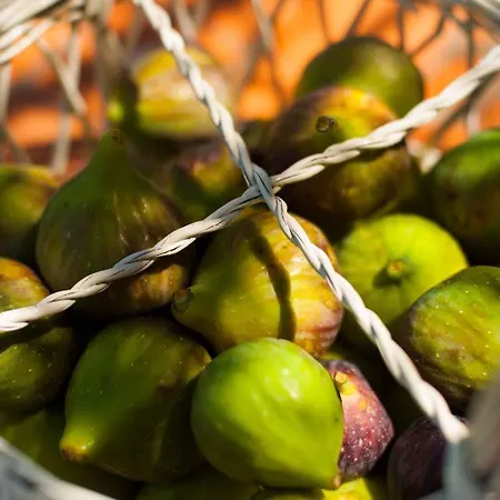 Penelope Dream Pool Villa *