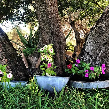 Penelope Dream Pool Vilă