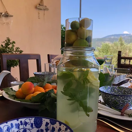 Penelope Dream Pool Vilă *