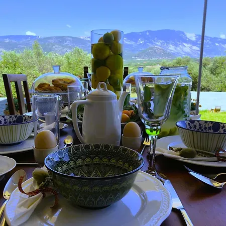 Penelope Dream Pool Vilă