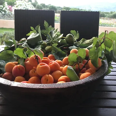 Vilă Penelope Dream Pool *