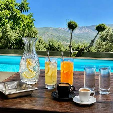 Penelope Dream Pool Villa *
