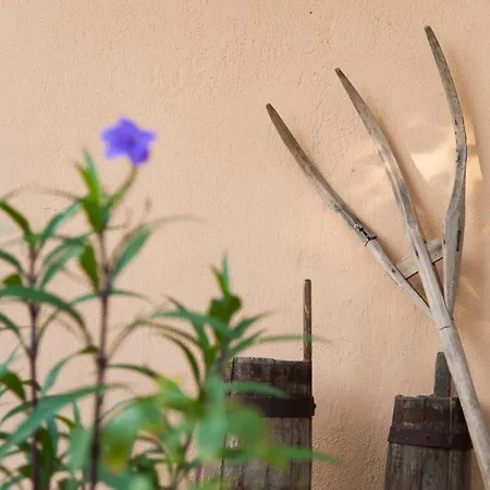 Vilă Penelope Dream Pool